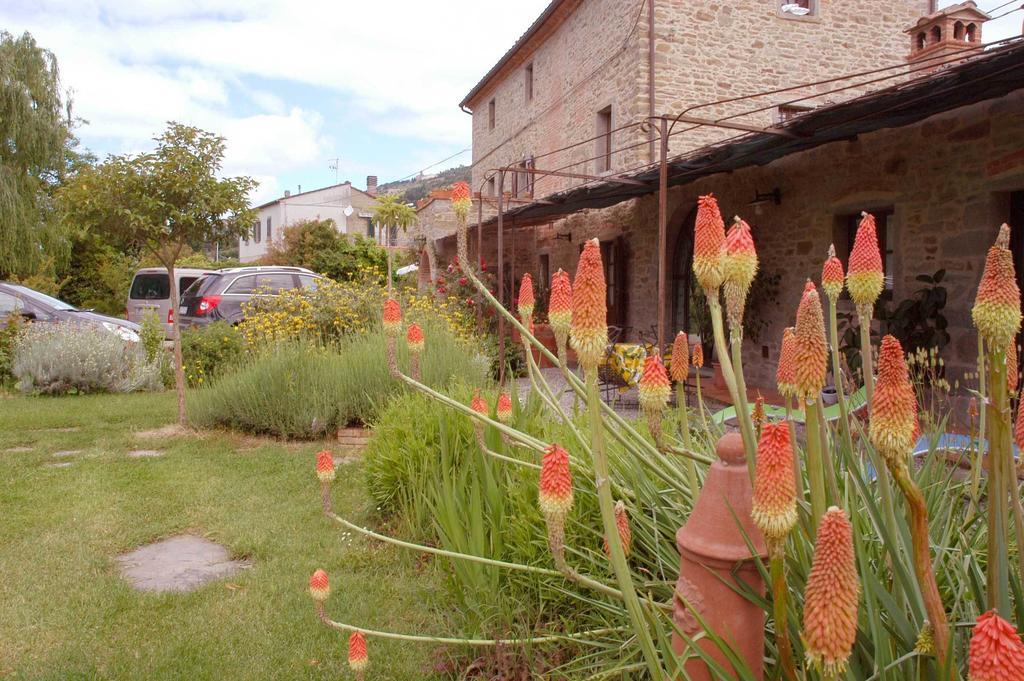 Holiday Home Il Moro Novo Кортона Екстериор снимка